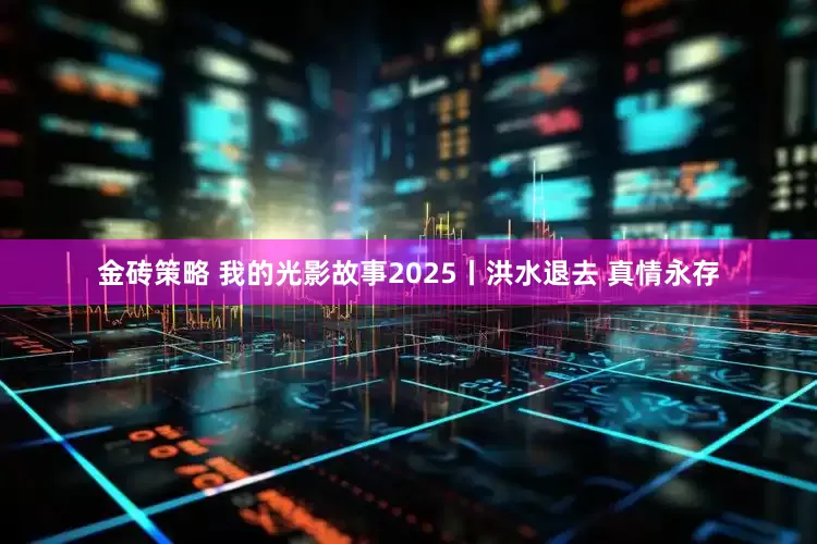 金砖策略 我的光影故事2025丨洪水退去 真情永存